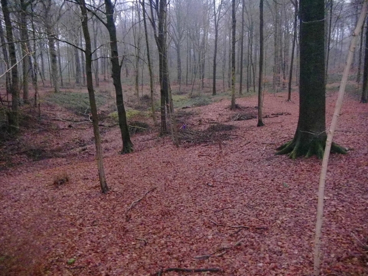 Braine-le-Comte,_Belgium_-_panoramio_(5).jpg