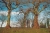1216x819x2.jpg