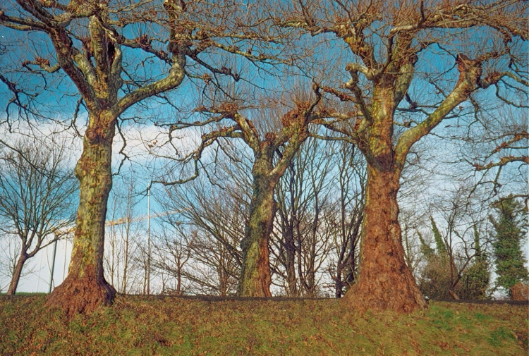1216x819x2.jpg