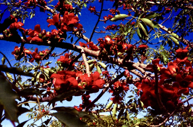 1216x802x2.jpg