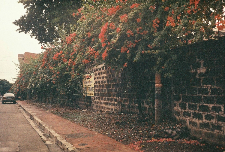 909x614x2.jpg