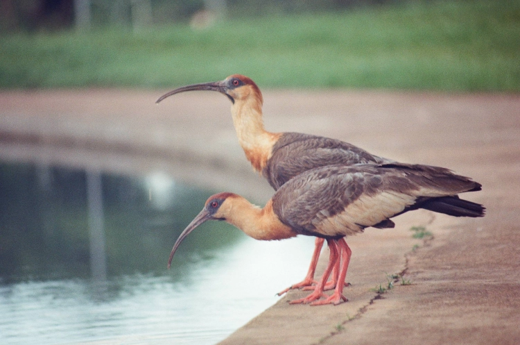 1024x679x2.jpg